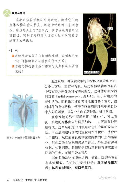 人教版八年級(jí)上冊(cè)生物電子課本教材 高清pdf版